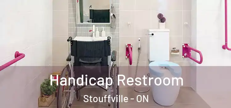  Handicap Restroom Stouffville - ON